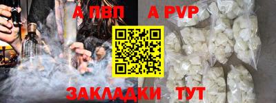шишки Кингисепп