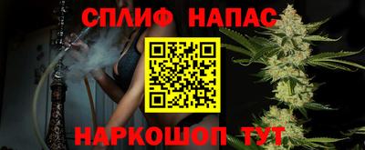 шишки Кингисепп