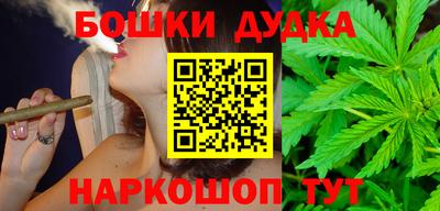 шишки Кингисепп