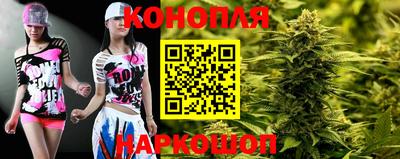 шишки Кингисепп