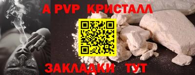 шишки Кингисепп